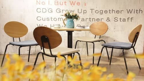 CDG Perfekter Restaurant-Esszimmerstuhl